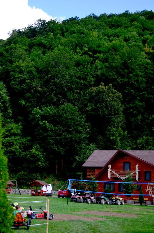 Pensiunea Sequoia Cluj-Napoca Exteriör bild
